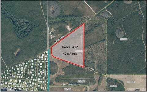 PARCEL 12 BELLAMY Road, Florahome, FL 32140