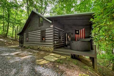 545 Chestnut Ridge, Blue Ridge, GA 30513