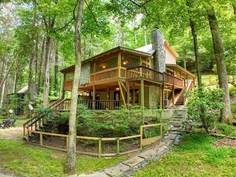 100 Stanley Creek Xing, Blue Ridge, GA 30513