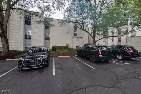 1625 Cedarwood Drive unit: 218, Westlake, OH 44145