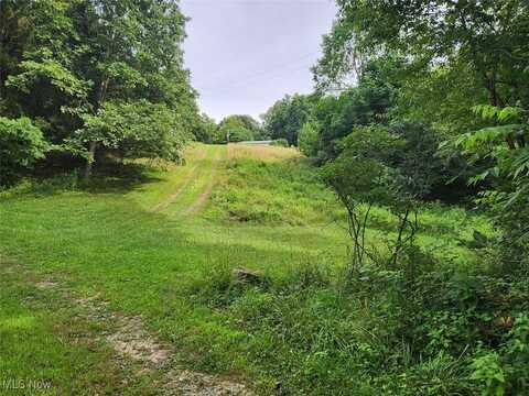 2224 Ocean Road NE, Salineville, OH 43945