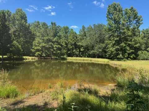 390 PR 5200, Ratcliff, TX 75858