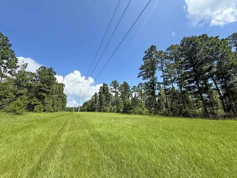 TBD TX-204, Cushing, TX 75760