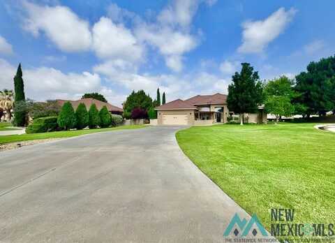 603 Oakwood Place, Carlsbad, NM 88220