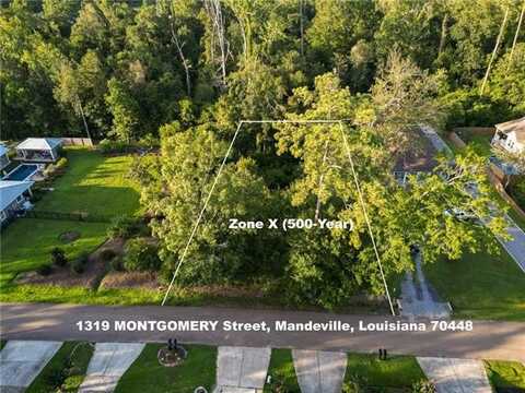 1319 MONTGOMERY Street, Mandeville, LA 70448