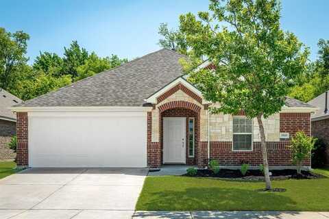 1925 Megan Creek Drive, Little Elm, TX 75068