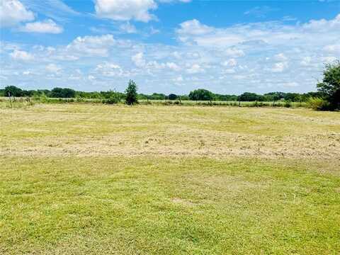 804 Casa Vista Drive, Rio Vista, TX 76093
