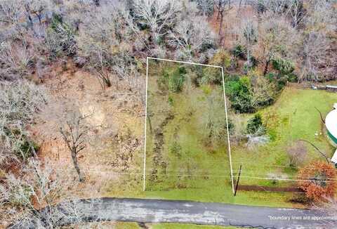 Lot # 252 Santa Maria, Payne Springs, TX 75156