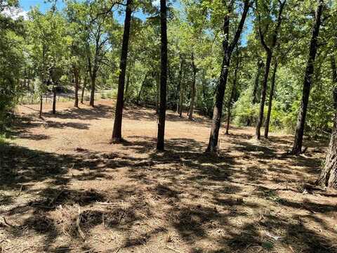 65 Alta Vista, Malakoff, TX 75148