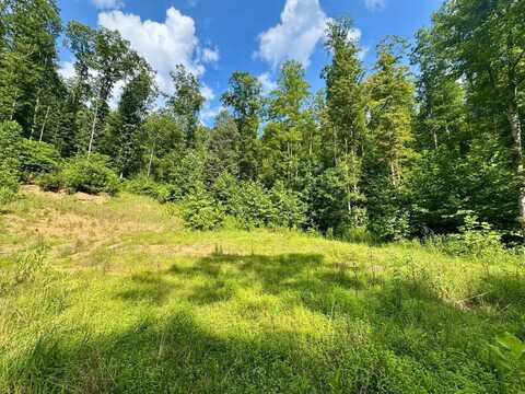 1351 Poca Road, Looneyville25, WV 25259