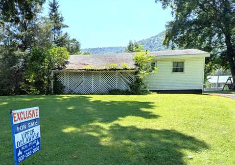 284 Old Mill Rd, East Branch, NY 13756