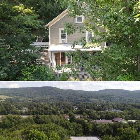 4 King St, Oneonta, NY 13820