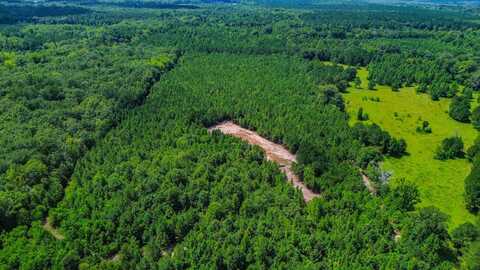 9617 AL Hwy 22, Orrville, AL 36767