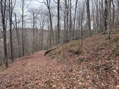 0 Charlie Wood Road, Delhi, NY 13752