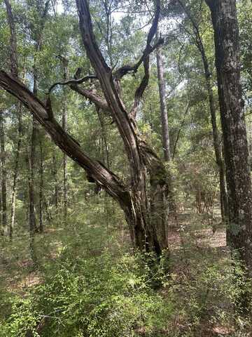 0 Boat Landing Rd, Ridgeville, SC 29472