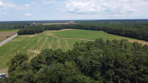0 Black River Road, New Zion, SC 29111