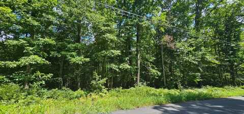 Lot 23.23 Perry Pond Road, Tusten, NY 12764