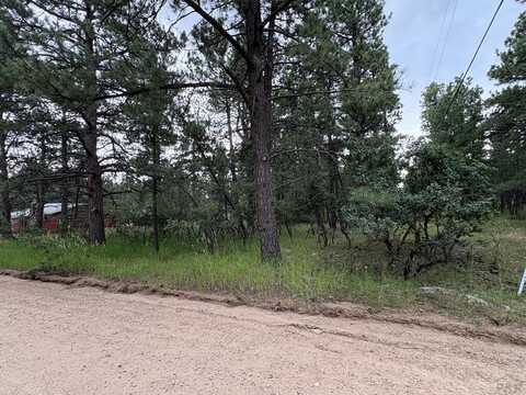 Birch Dr, Rye, CO 81069