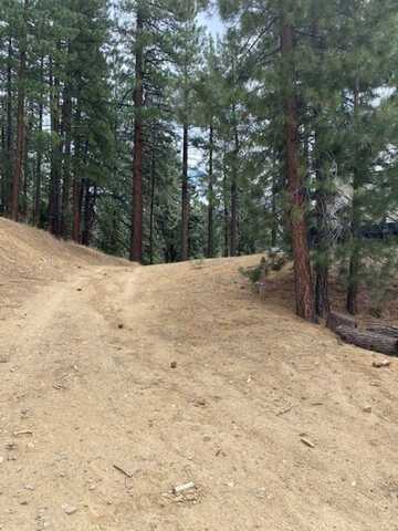 1070 Buckskin Lane, Portola, CA 96122