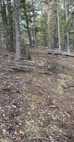 0 Glenwood Lane, Woodland Park, CO 80863