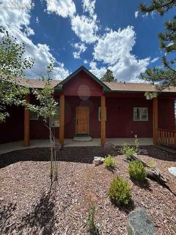 340 Douglas Fir Drive, Woodland Park, CO 80863