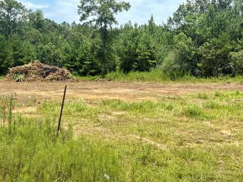NHN Robert Rhodes Rd parcel 1, Poplarville, MS 39470