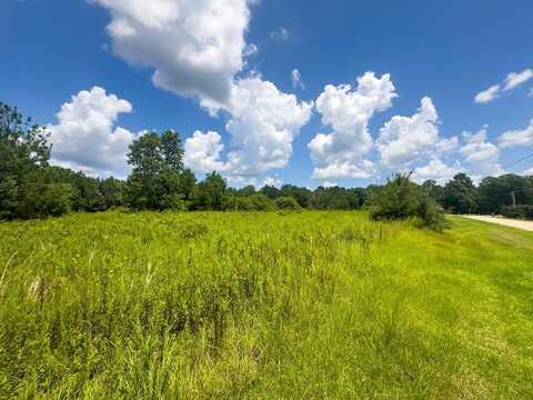 00 PM Hall Rd, Poplarville, MS 39470