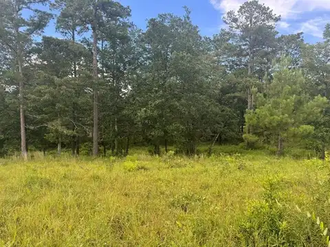 0 George Ford Rd, Carriere, MS 39426