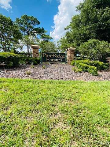 2199 N Stampede Drive, Beverly Hills, FL 34465