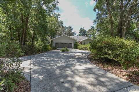 6385 N Shorewood Drive, Hernando, FL 34442