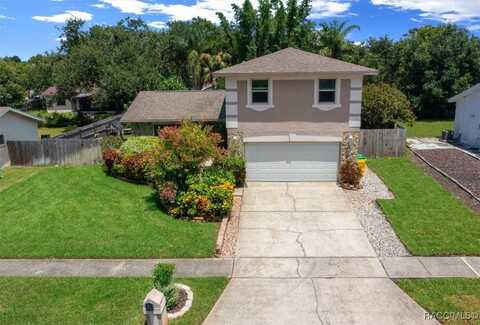 2589 Knoll Street W, Palm Harbor, FL 34683