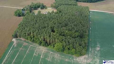 TBD Bomar Trl, Pinewood, SC 29125