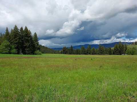 49 Old Ranch House Rd, Republic, WA 99166