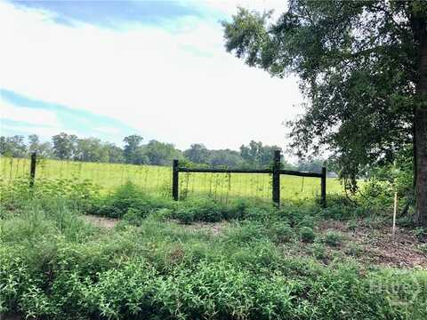 204 Nevils Groveland Road, Statesboro, GA 30458