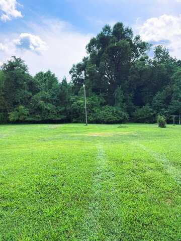 Nottoway Ave, Blackstone, VA 23824