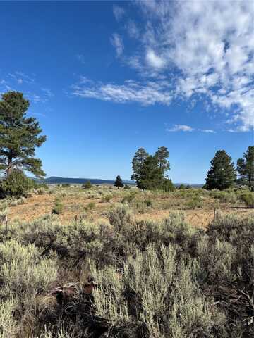 HWY 573, Tierra Amarilla, NM 87575