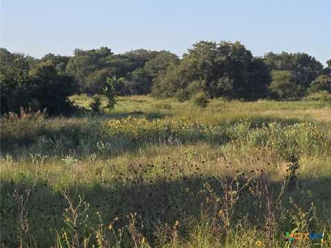 165 Guadalupe Drive, Oglesby, TX 76561