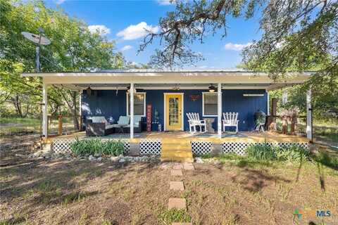 1060 Forest View Drive, Blanco, TX 78606