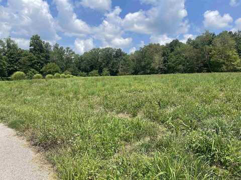 9670 N Olivia Drive, Wadesville, IN 47638