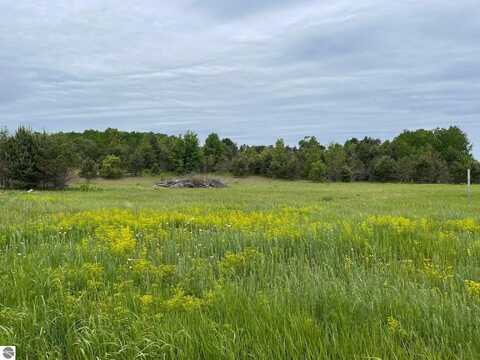 490 SE Mitchell Road, Kalkaska, MI 49646