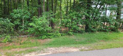1316 Sagamore Drive, Louisburg, NC 27549