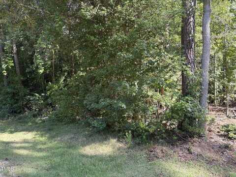 1316 Sagamore Drive, Louisburg, NC 27549