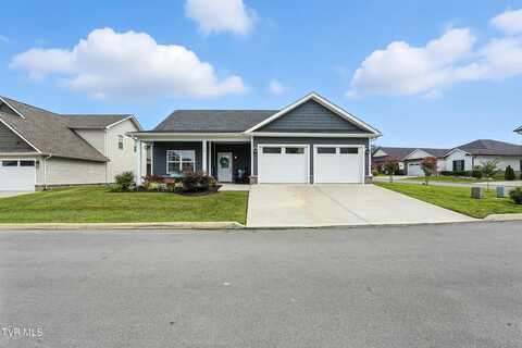 14 Palmetto Court, Gray, TN 37615