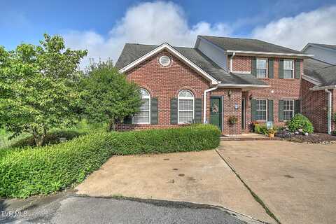 110 Eagle View Private Drive, Blountville, TN 37617