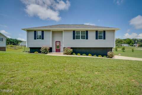 6245 Snapps Ferry Road, Afton, TN 37616