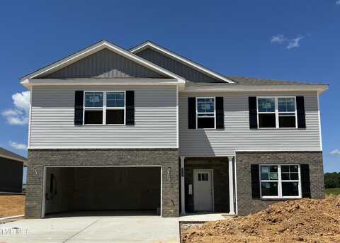 1219 Downing Place, Kingsport, TN 37663