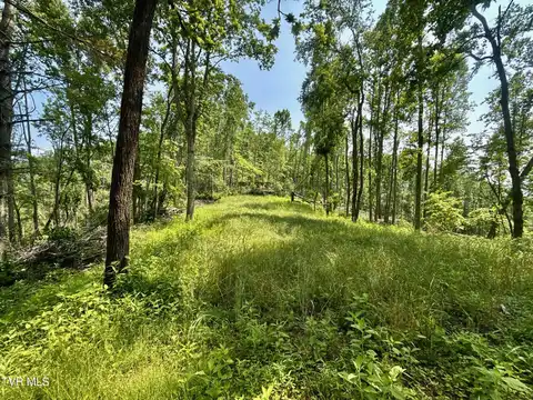 99/Ac Tbd Nw Of Copperhead Hollow Road, Mountain City, TN 37683