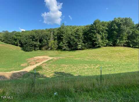 203 Whispering Pines Road, Johnson City, TN 37601