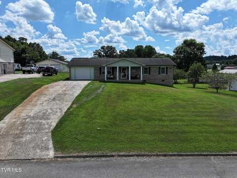 50 Pine Ridge Drive, Afton, TN 37616