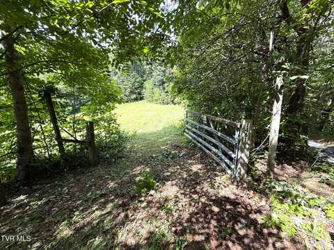 1461 Ponderosa Road, Parrottsville, TN 37843